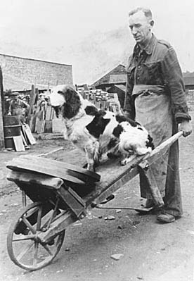 Photograph: Worker at Bangor Slate Works.