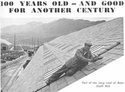 Roof Slates: 100 Years old and good for another century.