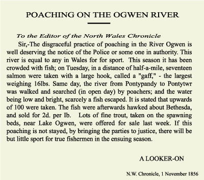 POACHING ON THE OGWEN RIVER, To the Editor North Wales Chronicle, Sir,-The disgraceful practice of poaching in the River Ogwen is well deserving the notice of the Police or some one in authority. This river is equal to any in Wales for for sport. This season it has been crowded with fish; on Tuesday, in a distance of half-a-mile, seventeen salmon were taken with a large hook, called a "gaff," - the largest weighing 16lbs. Same day, the river from Pontypandy to Pontytwr was walked and searched (in open day) by poachers; and the water being low and bright, scarcely a fish escaped. It is stated that upwards of 100 were taken. The fish were afterwards hawked about Bethesda, and sold for 2d. per Ib. Lots of fine trout, taken on the spawning beds, near Lake Ogwen, were offered for sale last week. If this poaching is not stayed, by bringing the parties to justice, there will be but little sport for true fishermen in the ensuing season. [Signed] A Onlooker, 1 Nov. 1856